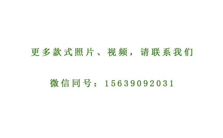 擺動(dòng)類(lèi)游樂(lè)設(shè)備